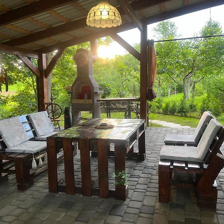 Hotel Окремий Будинок-Апартаменти Rakoshyno 外观 照片